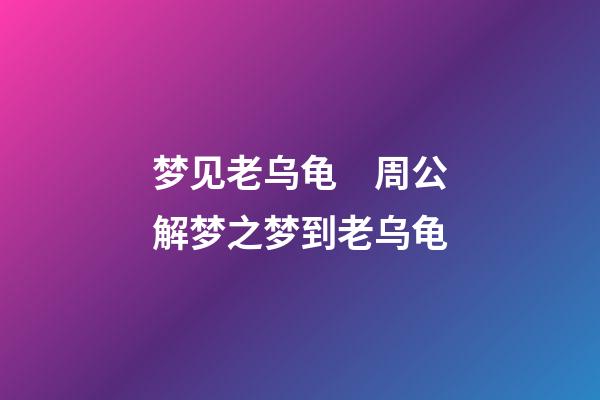 梦见老乌龟　周公解梦之梦到老乌龟